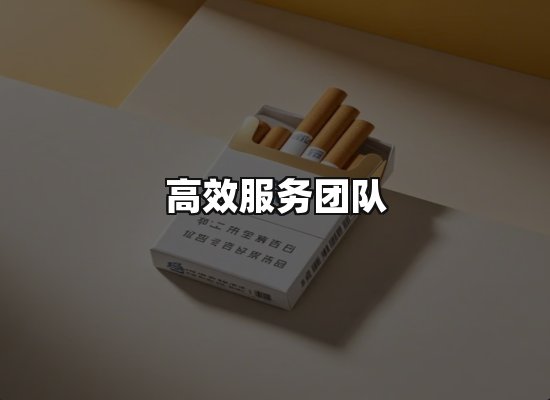 专业优势